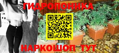 МДПВ Сланцы