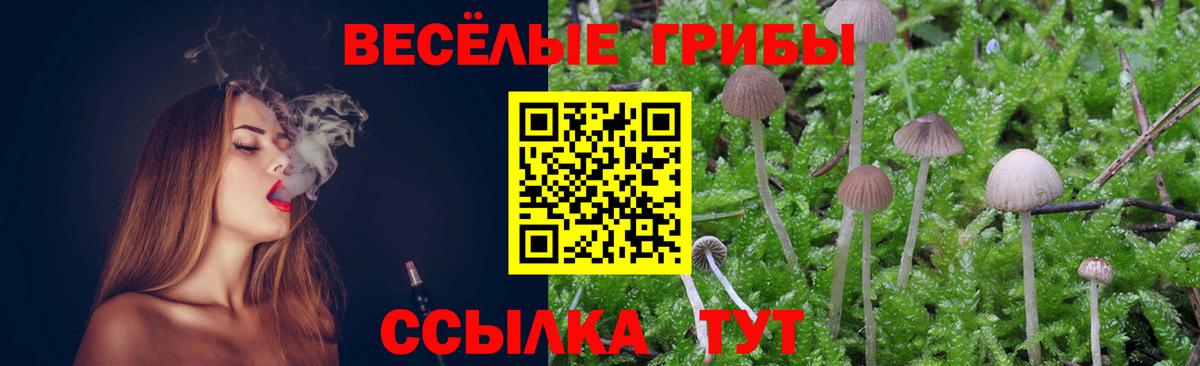 Нижневартовск  Псилоцибиновые грибы Psilocybine cubensis  Вход с VPN 